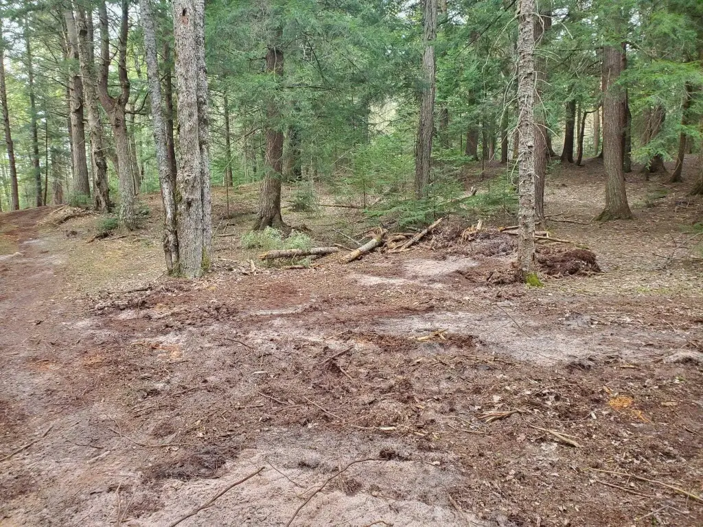 Picture 2