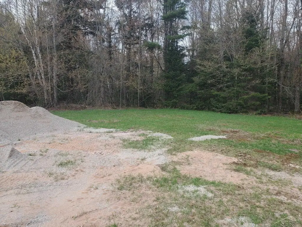 Picture 12