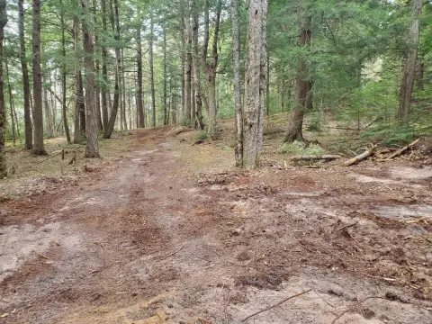 Cleared Hunting Land Parcel