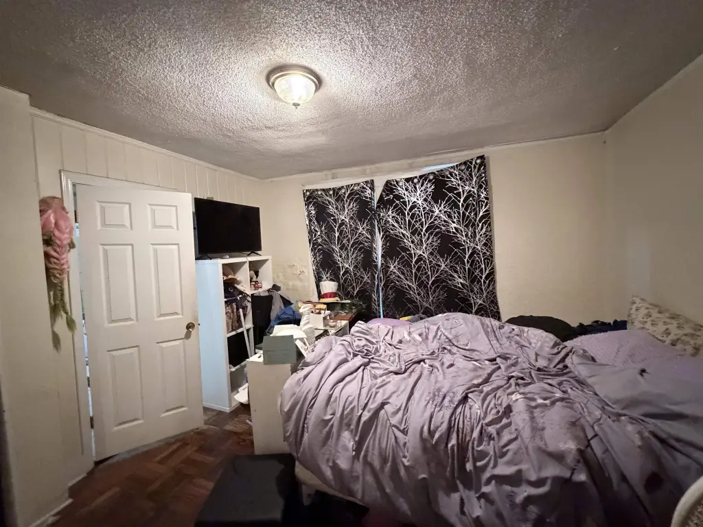 Picture 5