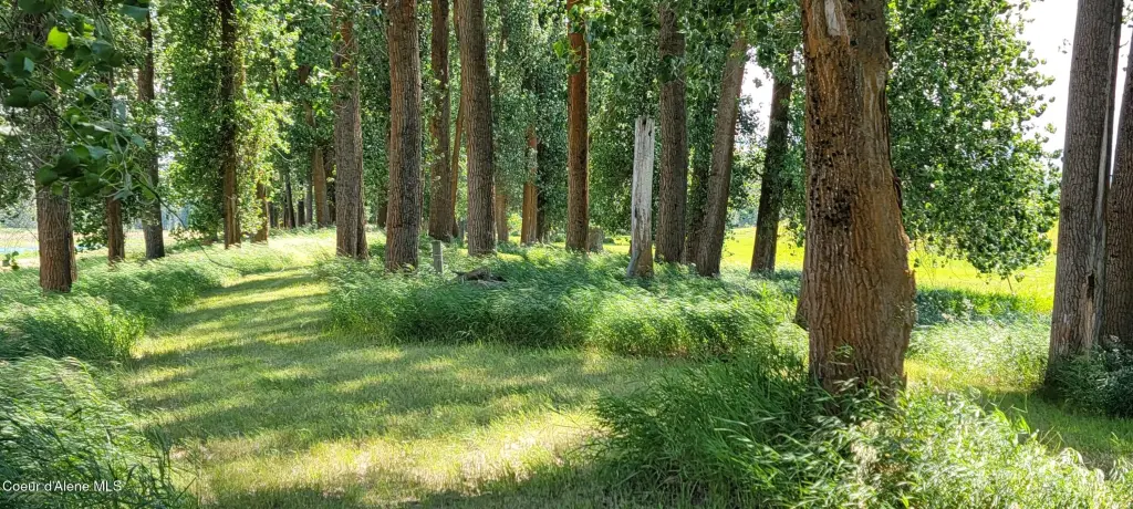 Picture 15