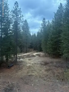 Sagle Land with Rock Outcroppings