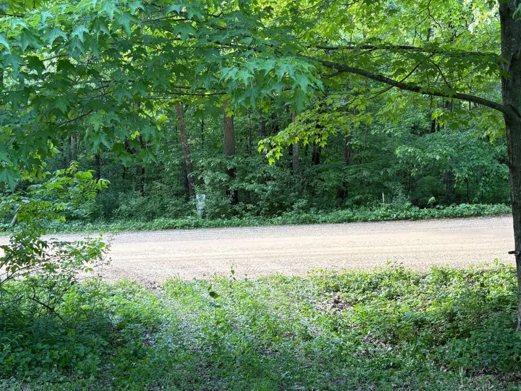 Picture 9