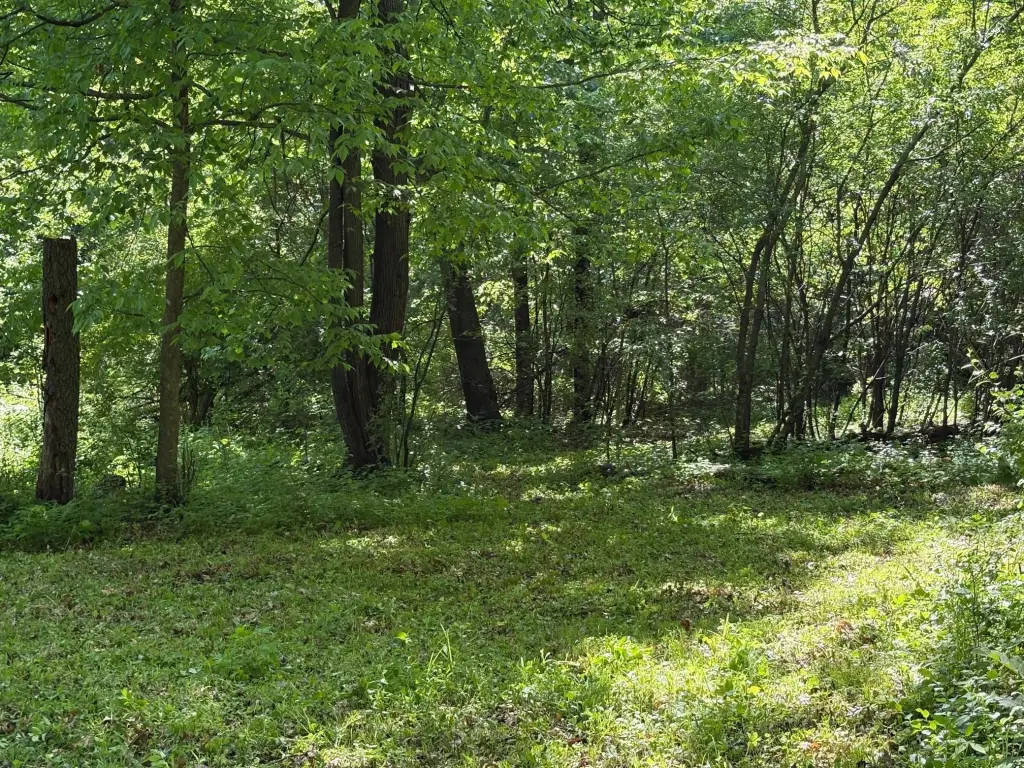 Picture 19