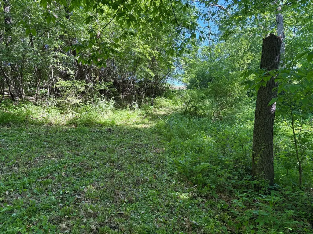 Picture 24