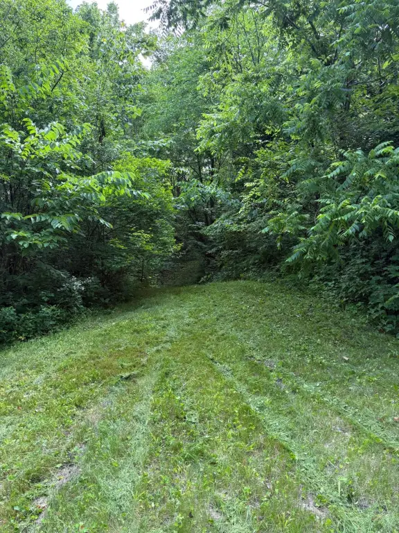 Picture 8