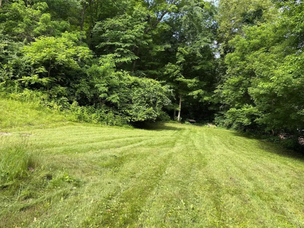 Picture 3