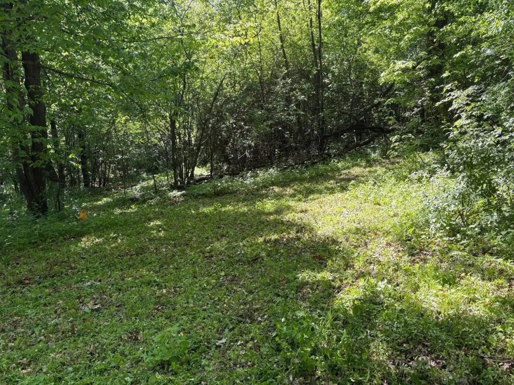 Picture 22