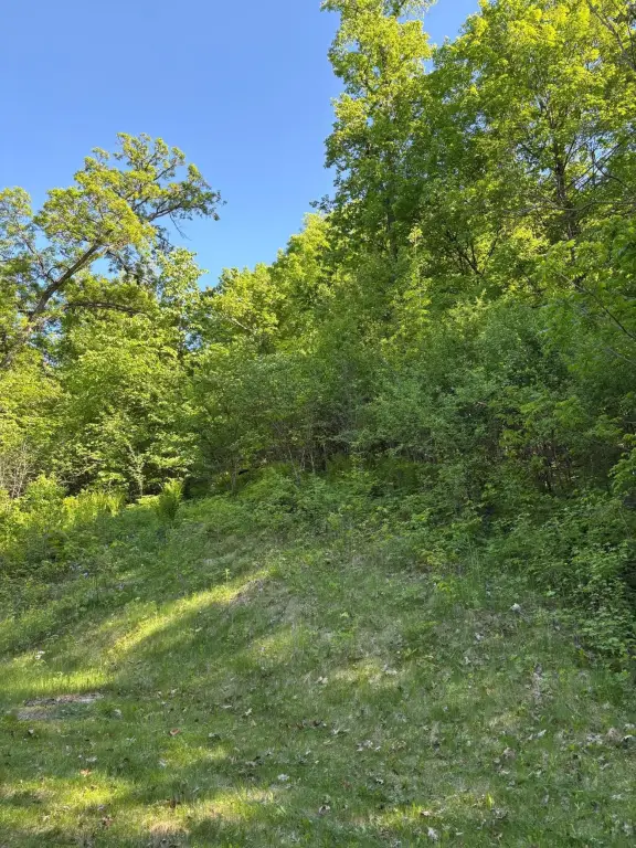 Picture 10