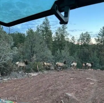 Scenic Land Parcel in Pine, AZ