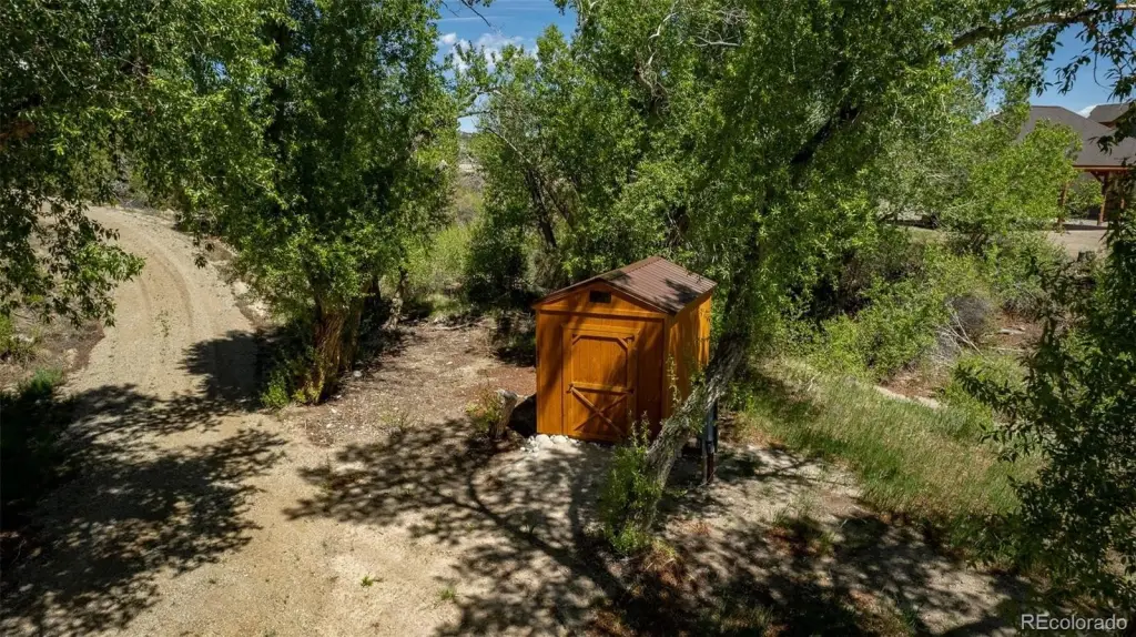 Picture 31