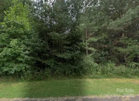 Wooded Lot in Pine Forest