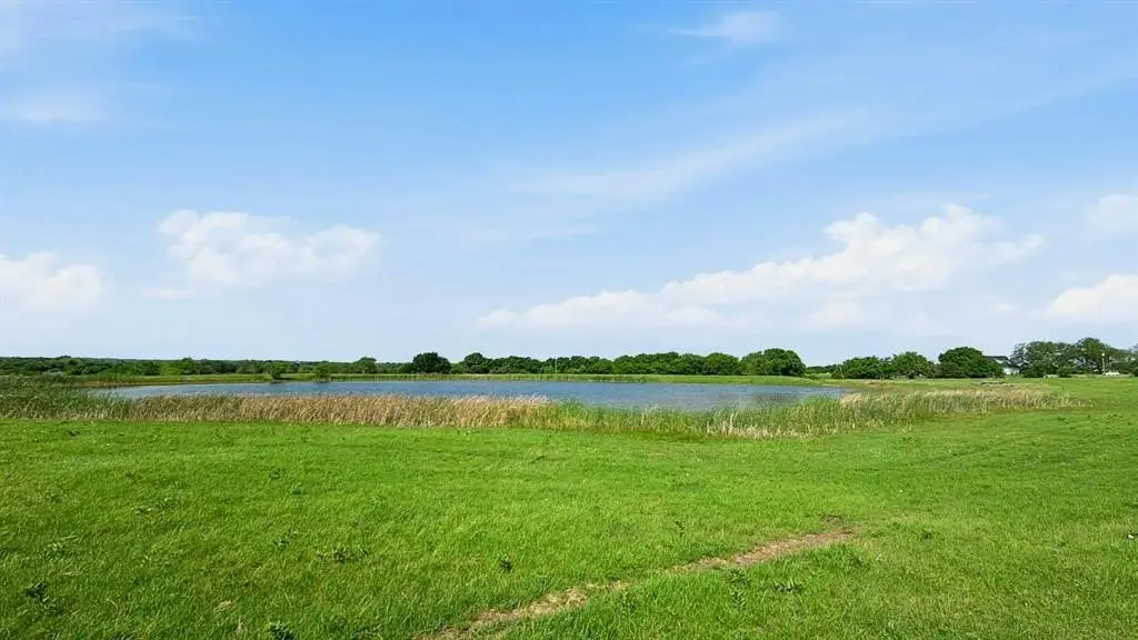 Picture 35