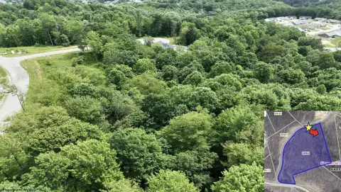 Wooded Land in Bridgeport City