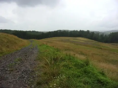 Residential Land in Buckhannon, WV