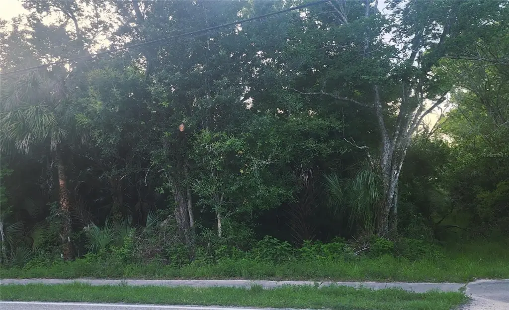 Picture 6