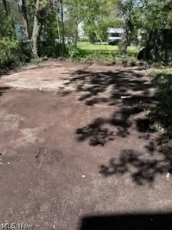 Picture 9