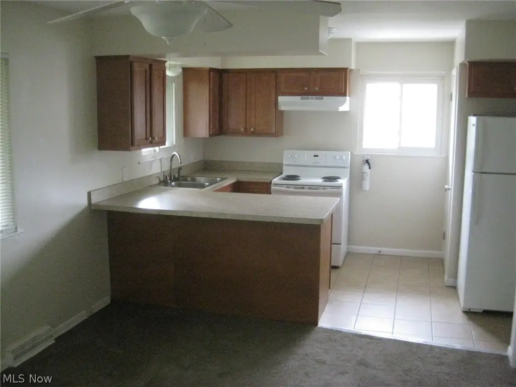 Picture 13