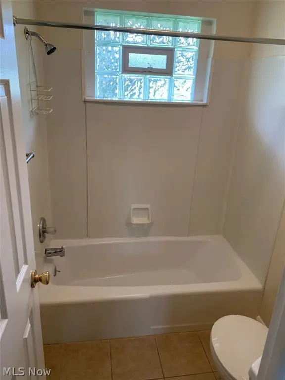 Picture 8