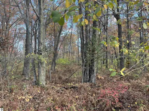 60-Acre Hunting Land Paradise