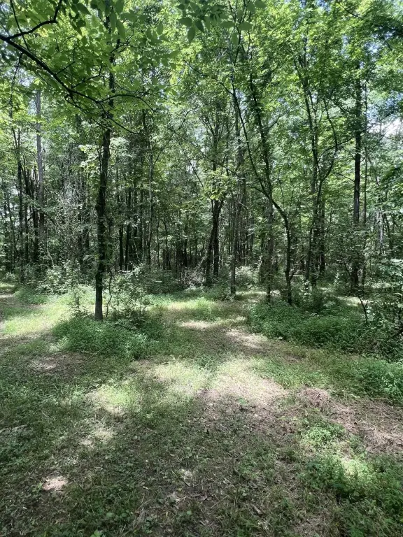 Picture 21
