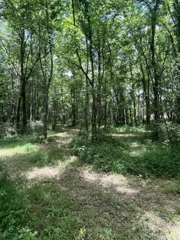 Picture 22