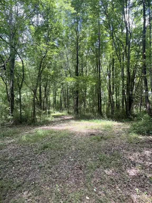 Picture 23