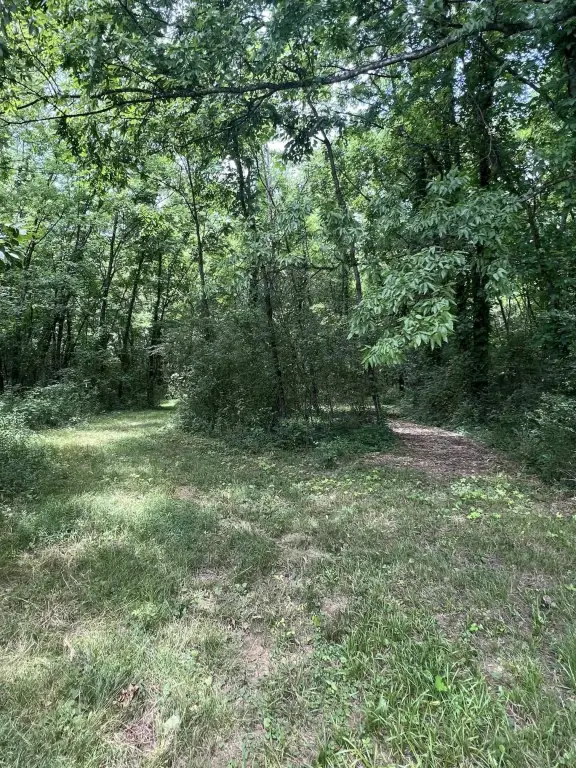 Picture 20