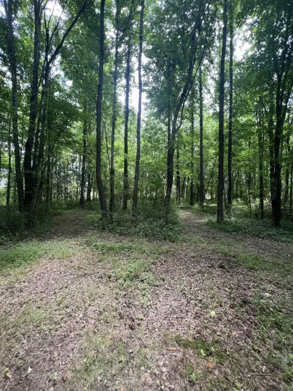 Picture 24