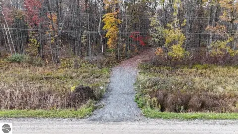 Wooded Land Parcel on Magruder