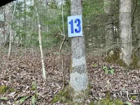 Land in East Bernstadt, KY