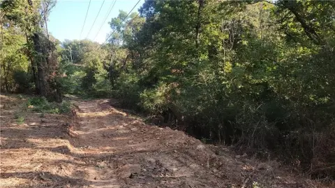 Residential Lots in Faber Addition