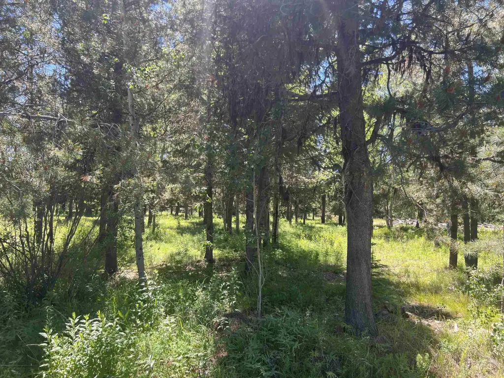 Picture 6