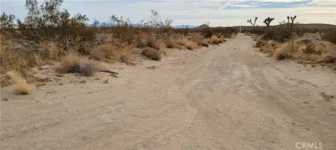 Mojave Land for Sale