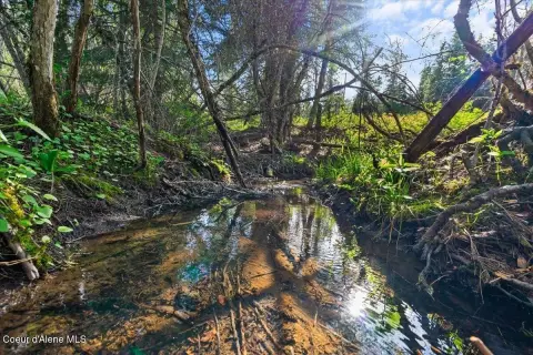 Wooded Acres Near St. Maries