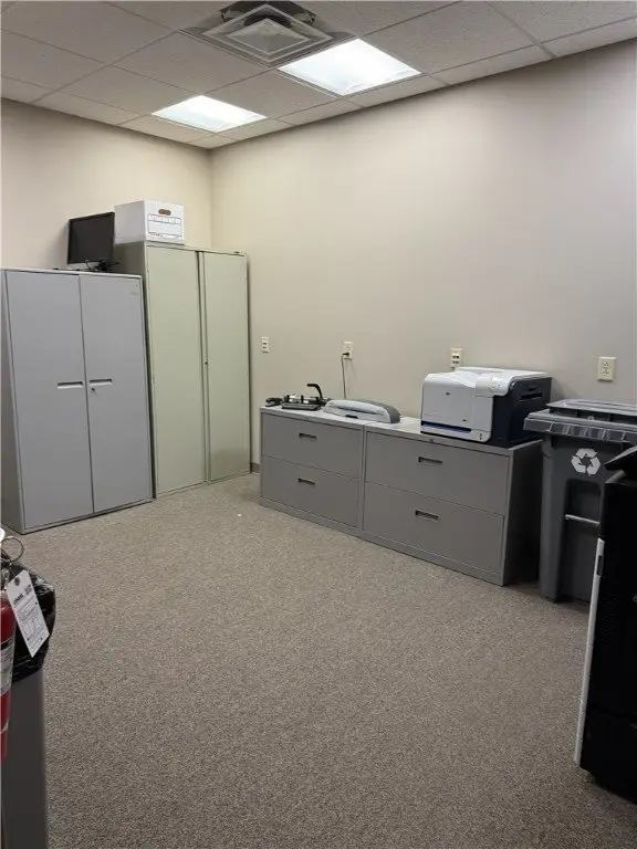 Picture 19