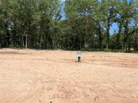 Tolar, TX Treed Land Lot