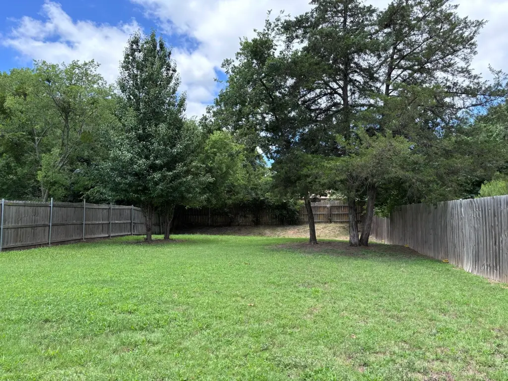 Picture 25