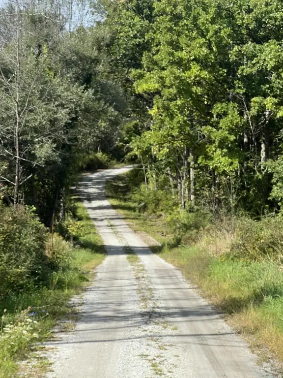 Picture 30