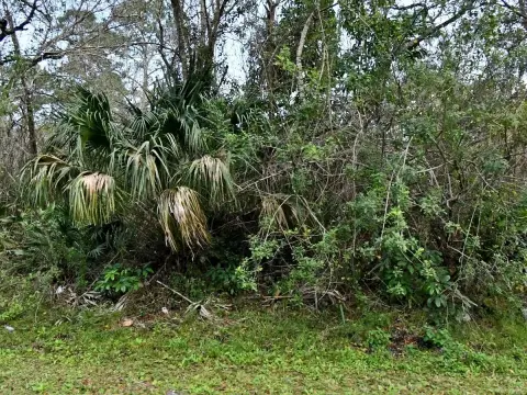 Residential Lot in Fort Pierce