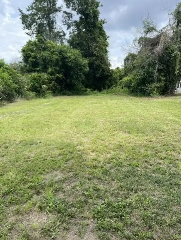 Picture 3