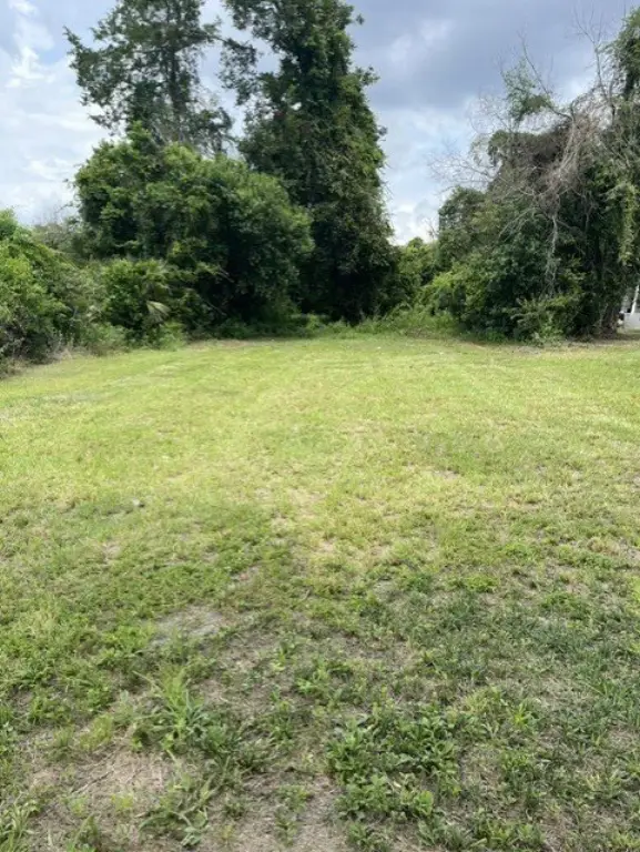 Picture 2