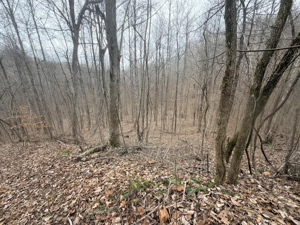Picture 14