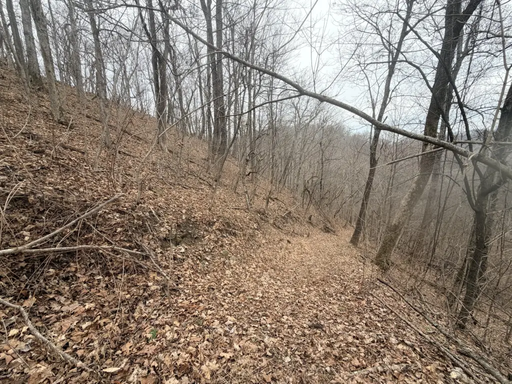 Picture 16