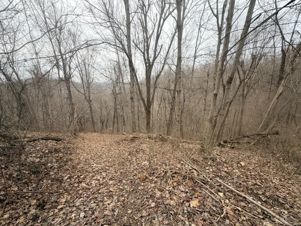 Picture 17