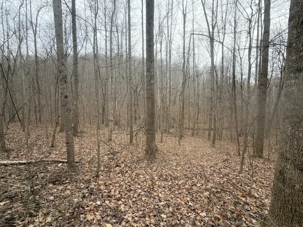Picture 8