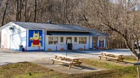 Established Dairy Bar For Sale