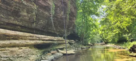 200+ Acres of Natural Beauty