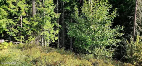 Secluded Land in St. Maries