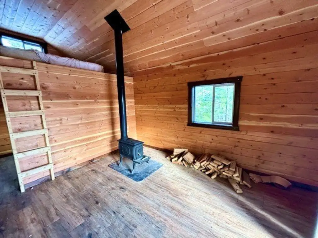 Picture 9